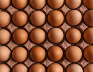 Animal Protein vs. Plant Protein Nutritional Differences and Benefits for Your Health