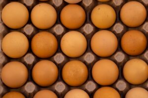 Exploring Protein Powders Are They Effective and Safe for Enhancing Your Daily Nutrition