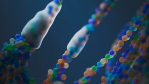 How Protein Plays a Key Role in Immune Function and Reducing the Risk of Illness